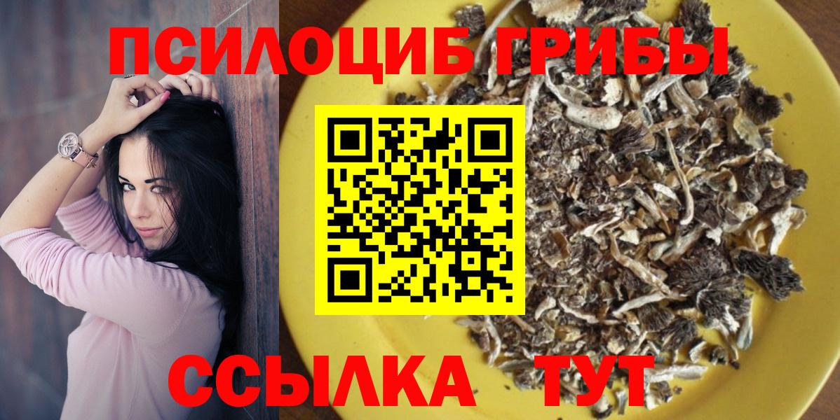 Псилоцибиновые грибы Psilocybine cubensis Миасс