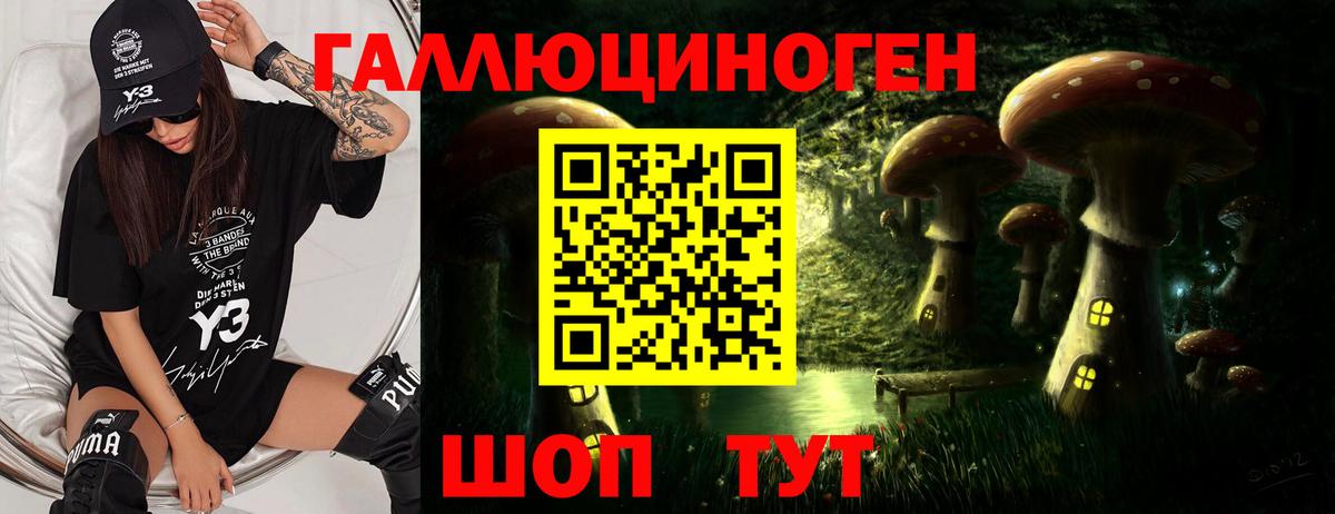 где найти   Вход с VPN  Миасс  Псилоцибиновые грибы мицелий 